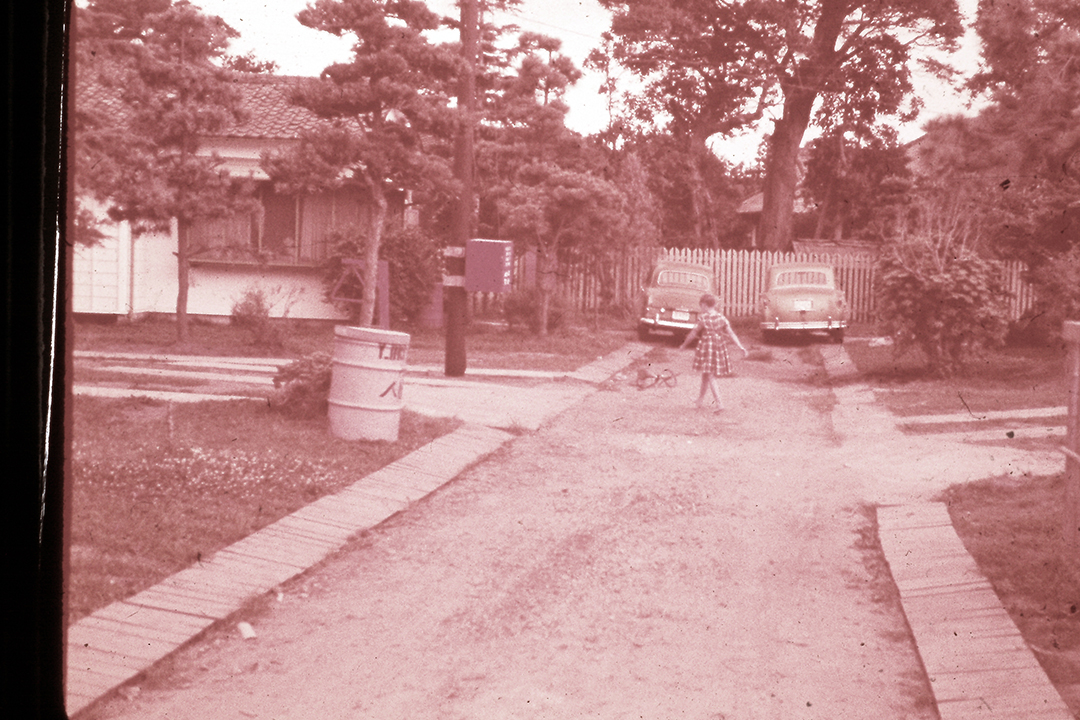 Japan 1954